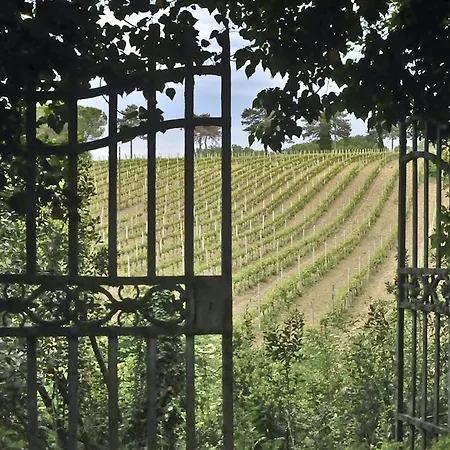 Farm stay Arca Teveraccio *