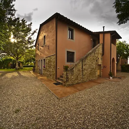 Arca Teveraccio *